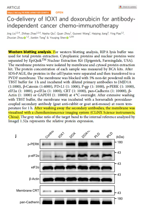 年终盘点|2021那些用勤翔仪器发表过的文献们