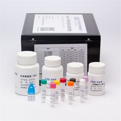 AlphaTSA?4重免疫組化染色試劑盒（25片）