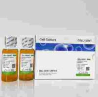 CELLiGENT Fetal Bovine Serum Standard/标准胎牛血清CG0430B