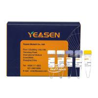 Hieff NGS® OnePot II DNA Library Prep Kit for Illumina®