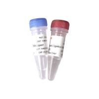 Hieff NGS®快速DNA连接模块(DNA Ligation Module)