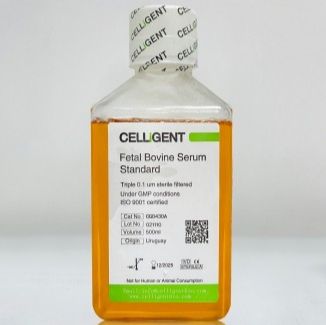 CELLiGENT Fetal Bovine Serum Standard/标准胎牛血清 CG0430A