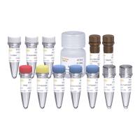 Hieff NGS® Unique Dual Index Primer Kit for MGI®