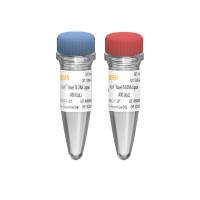 T4 DNA连接酶 Novel T4 DNA Ligase (400 U/µL)