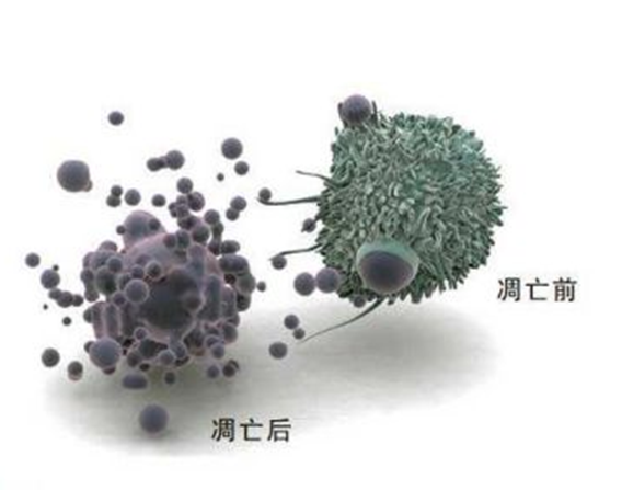 细胞状态检测方法合集