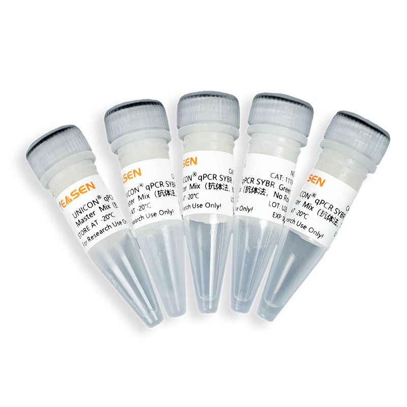 Hieff UNICON® 2×实时荧光定量PCR扩增的预混合溶液(抗体法，No Rox)