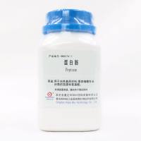 蛋白胨