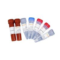 Hifair® Ⅲ One Step RT-qPCR SYBR Green Kit