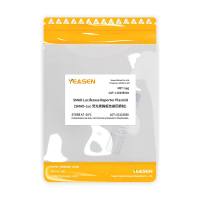 SMAD-Luc荧光素酶报告基因质粒(SMAD luciferase reporter