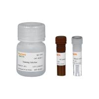 细胞周期与细胞凋亡检测试剂盒