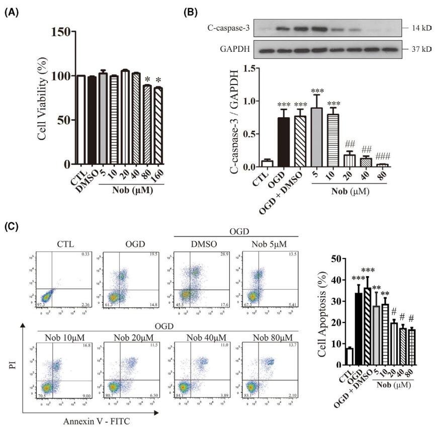 低氧/厌氧产品案例——低氧与大鼠心肌细胞OGD 研究