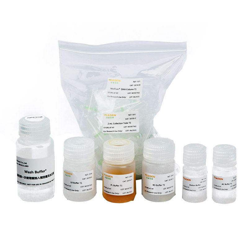 组织DNA提取试剂盒(MolPure® Cell/Tissue DNA Kit)