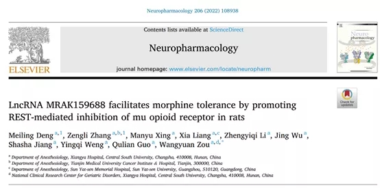 客户文章丨湘雅医院邹望远团队揭示lncRNA MRAK159688促进大鼠morphine耐受的分子机制