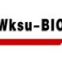 2×SYBR Green qPCR Mix 试剂盒