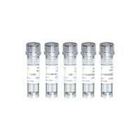 Yefluor 488 EdU细胞流式试验试剂盒(绿色荧光)