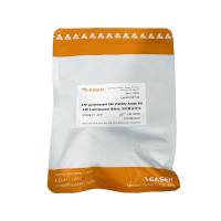 ATP Luminescent 细胞活力检测试剂盒(ATP Luminescent Cell Viability Assay Kit)