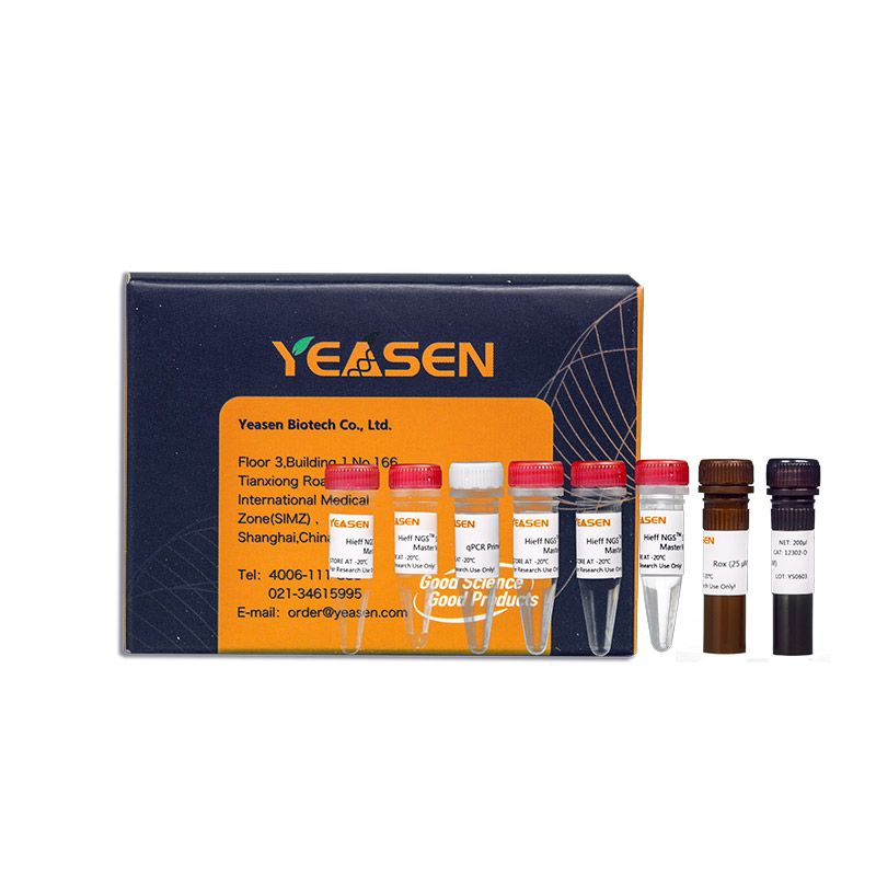 Hieff NGSTM DNA Library Quantification Kit for Illumina®