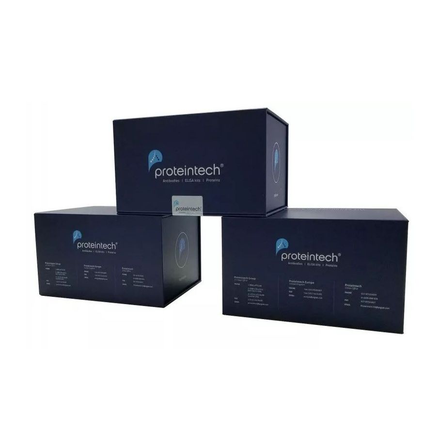 人生长激素 ELISA试剂盒（AuthentiKine™ Human Growth Hormone  ELISA Kit）
