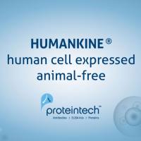 HumanKine® 重组人源IFN alpha 2B活性蛋白
