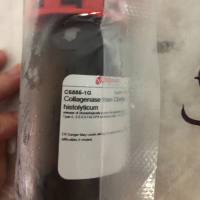 现货Sigma货号C6885-1g胶原酶(Type II)上海睿安生物13611631389