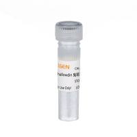 Phalloidin鬼笔环肽