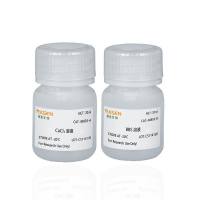 磷酸钙法细胞转染试剂 Calcium Phosphate Cell Transfection Kit