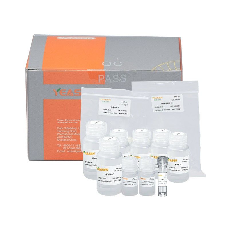 无内毒素质粒小量提取试剂盒MolPure® Endo-free Plasmid Mini Kit [可申请试用]