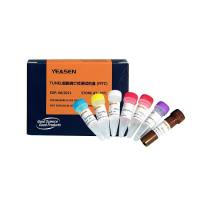 tunel试剂盒-TUNEL细胞凋亡检测试剂盒（FITC）