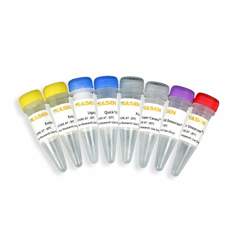 Hieff NGSTM OnePot DNA Library Prep Kit for Illumina®