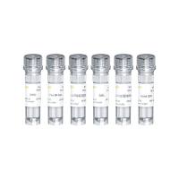 Yefluor 594 Edu细胞成像试剂盒（红色荧光）