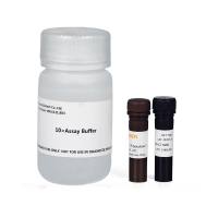 Calcein-AM/PI活细胞/死细胞双染试剂盒