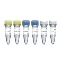 Hieff NGS® OnePot Pro DNA Library Prep Kit for Illumina