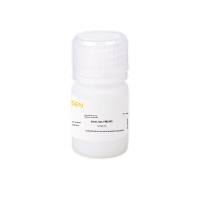 A型明胶 Gelatin Type A /动物胶 酸法明胶