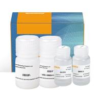 骨组织RNA提取试剂盒 MolPure® Bone RNA Kit