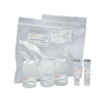 植物DNA提取试剂盒 MolPure® Plant DNA Kit