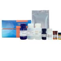 全能核酸酶残留ELISA检测试剂盒(UltraNuclease ELISA Kit) ELISA