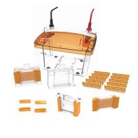 MiniProTM PET 2 两块胶蛋白迷你垂直电泳槽