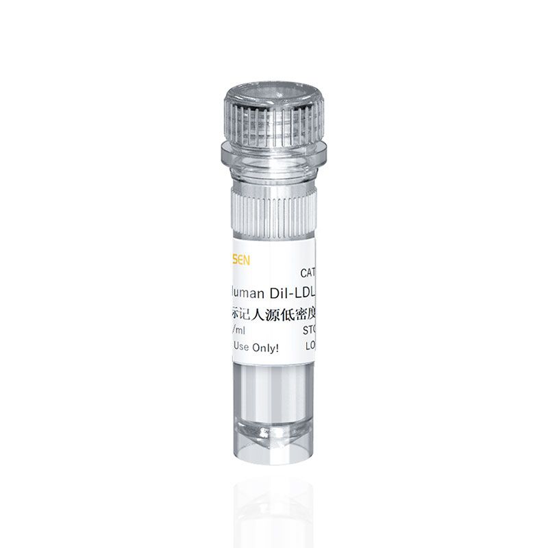 Human DiI-LDL 人源低密度脂蛋白(红色荧光标记)