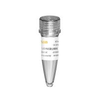 5×SDS-PAGE蛋白上样缓冲液(5×SDS-PAGE Protein Loading Buffer)