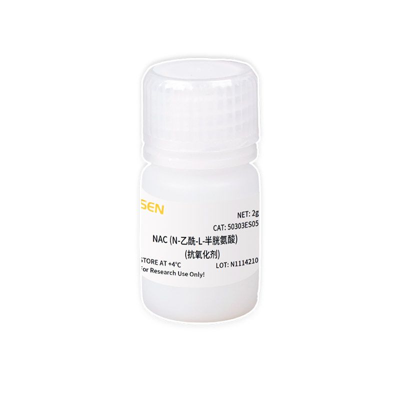 NAC（N-乙酰-L-半胱氨酸）（抗氧化剂）