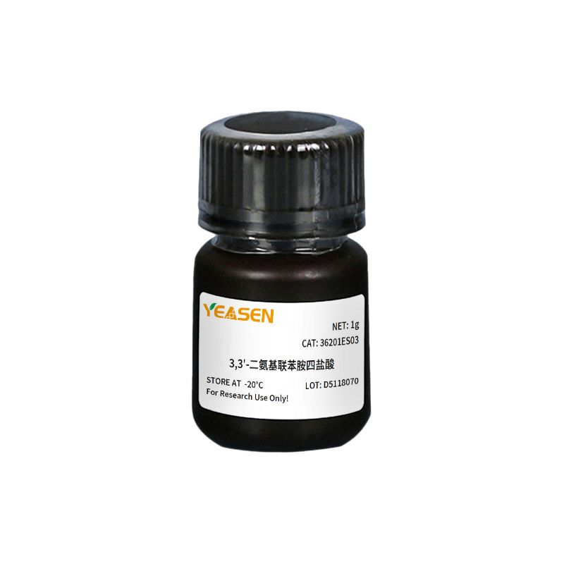  DAB 3,3'-二氨基联|苯胺四盐酸