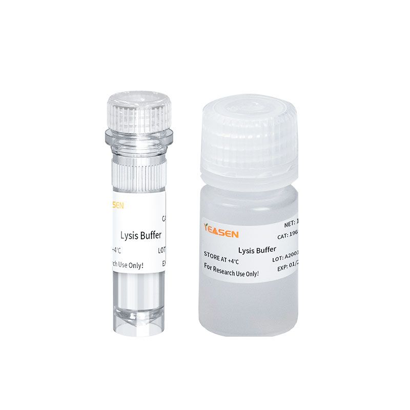 动物组织裂解组分Animal Tissue Lysis Component