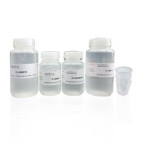 PAGE凝胶快速制备试剂盒（8%）PAGE Gel Quick Preparation Kit