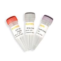 Hieff多片段一步法快速克隆试剂盒(重组克隆试剂盒)