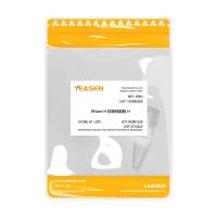 RNase H 核糖核酸酶H 内切核糖核酸酶