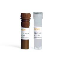 活性氧检测试剂盒 ROS检测试剂盒