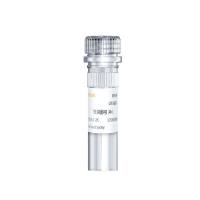 DAB显色试剂盒棕黄色（WB） DAB Peroxidase Substrate Kit