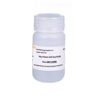 RNase清除剂(RNase Remover) RNase灭活试剂