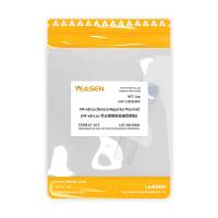 NF-κB萤火虫荧光素酶报告基因质粒(NF-κB luciferase reporter