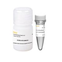 辉光型萤火虫荧光素酶报告基因检测试剂盒